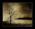 /album/fotogaleria/strom-3-jpg/
