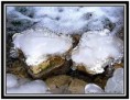 /album/priroda/a1-jpg/