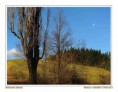 /album/priroda/krajina-jpg/